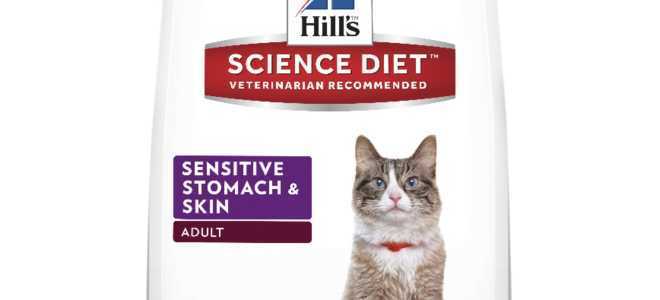 Холистик корма для кошек: рейтинг кормов, преимущества