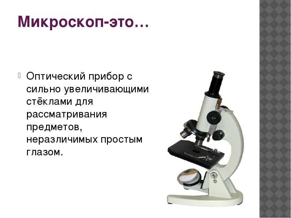 Выбираем лучший микроскоп для школьника: рейтинг топ 7, виды, отзывы, цена
