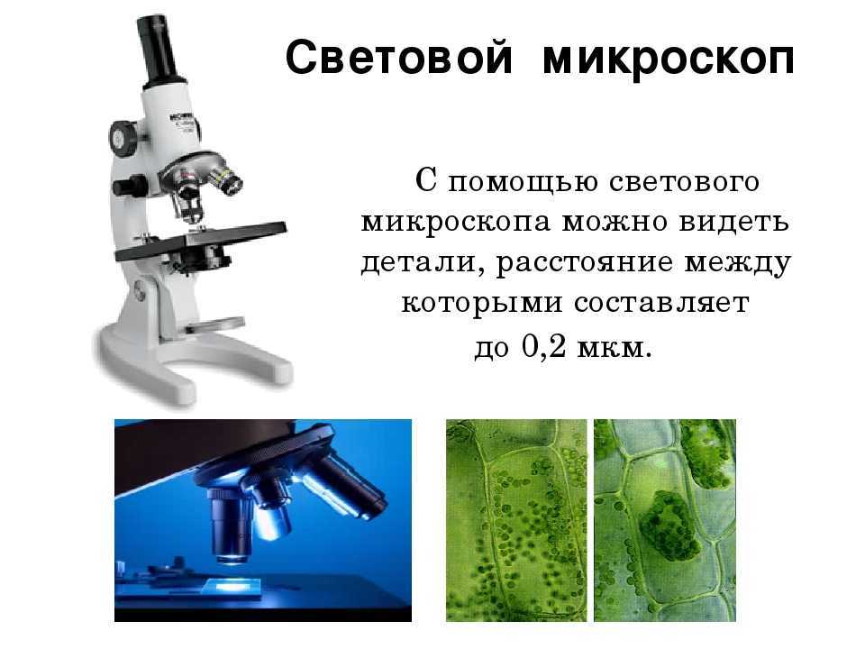 Какое увеличение у цифрового микроскопа. Оптический микроскоп ( увеличение до 2000 раз);. Световой микроскоп. Световая микроскопия. Современный световой микроскоп.
