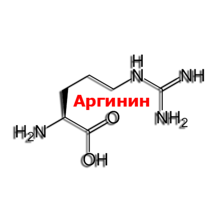 Аргинин - важнейшая аминокислота в организме | университетская клиника