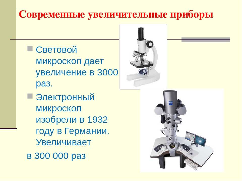 Рисунок был выполнен при работе с микроскопом на котором указано увеличение окуляра 20 объектива 20