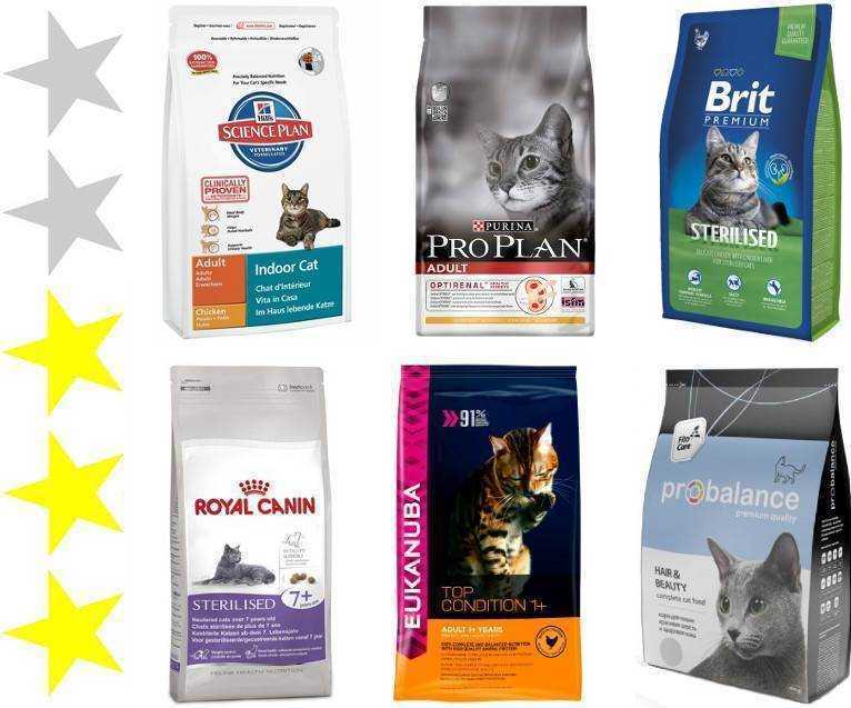 Каким кормом лучше кормить кошку: лучшие корма — советы ветеринаров. виды корма для кошек, опасный корм для кошек — как выбрать хороший корм для кошки?