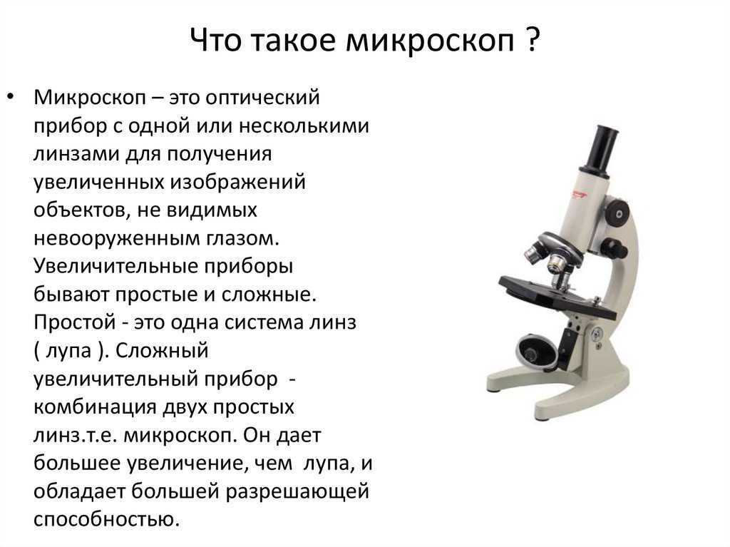 Микроскоп для школьника с образцами