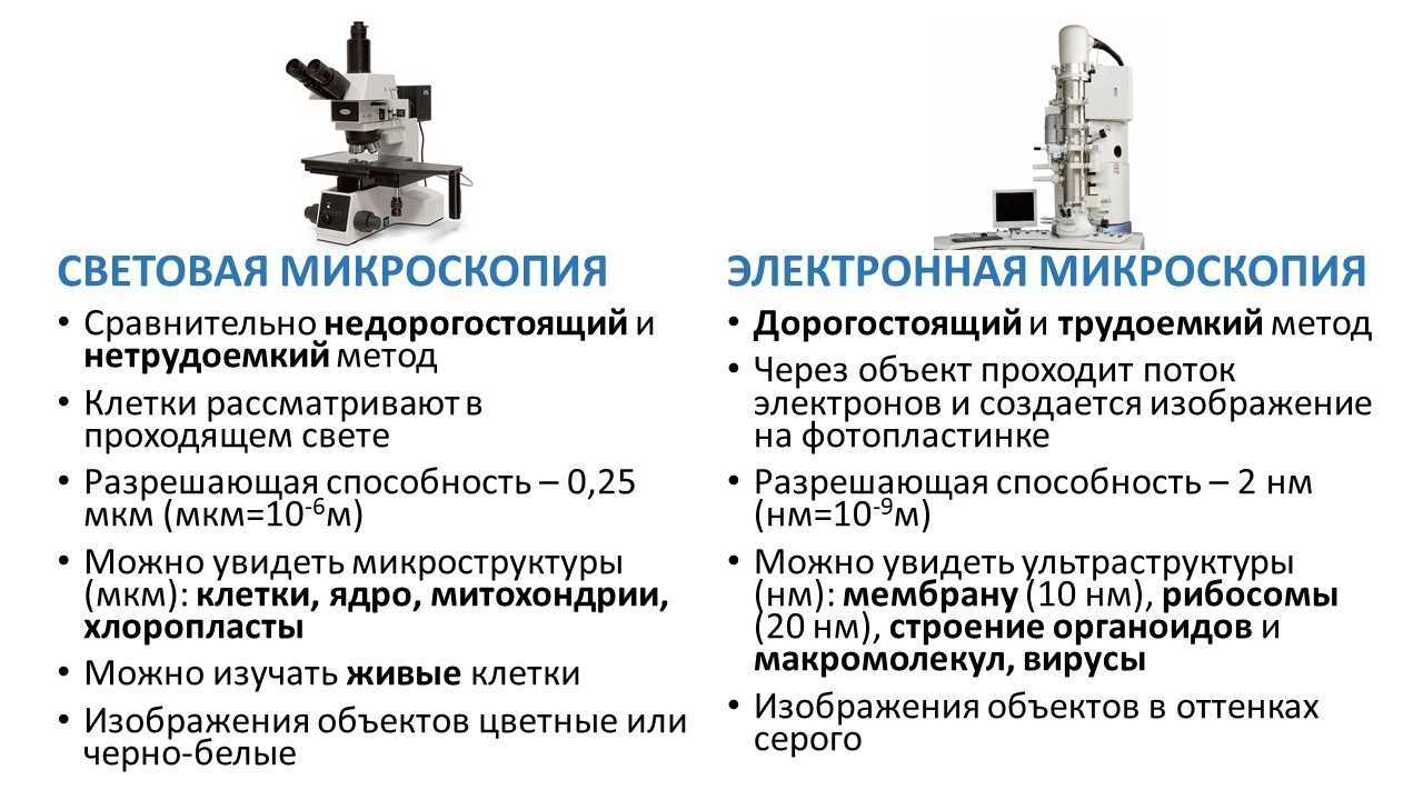 Функция кнопки захвата изображения на цифровом микроскопе