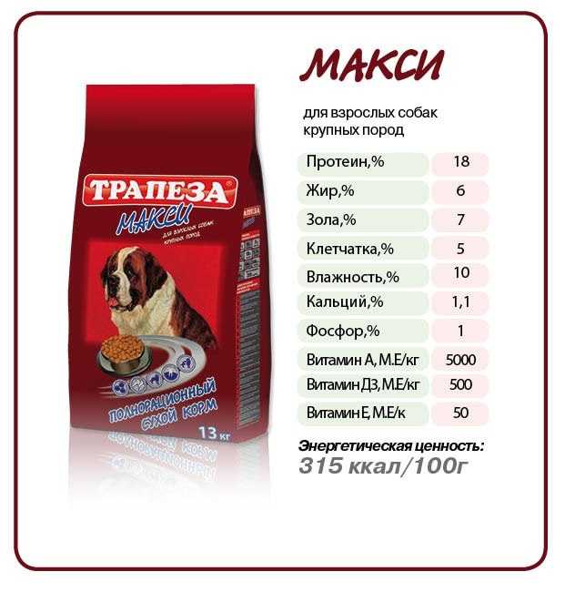 Чем кормить чихуахуа: пример рациона для щенка и взрослой собаки | «дай лапу»