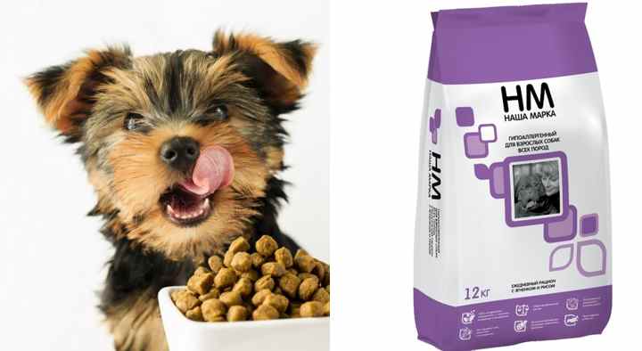 Гипоаллергенные корма для собак: обзор 7 рационов