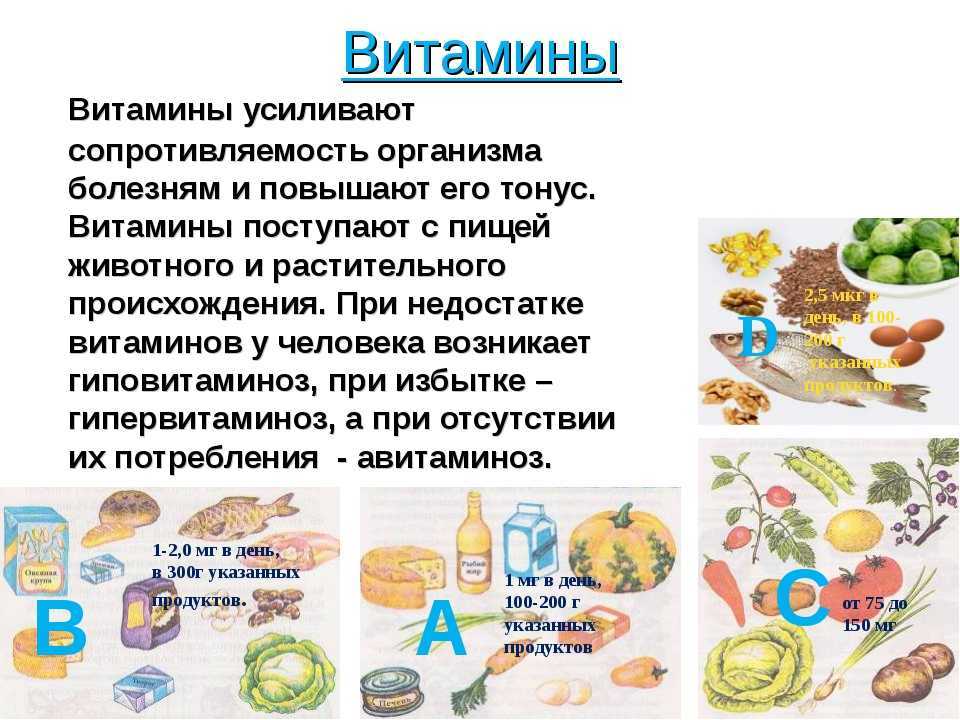 Витамины и минералы проект