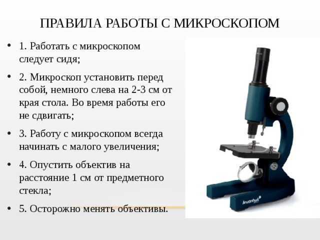 Исследовательский проект микроскоп