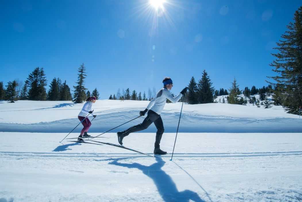 Горнолыжные курорты Подмосковья