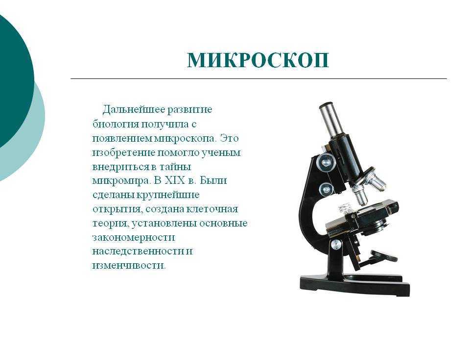 Виды микроскопов, основные характеристики и назначение